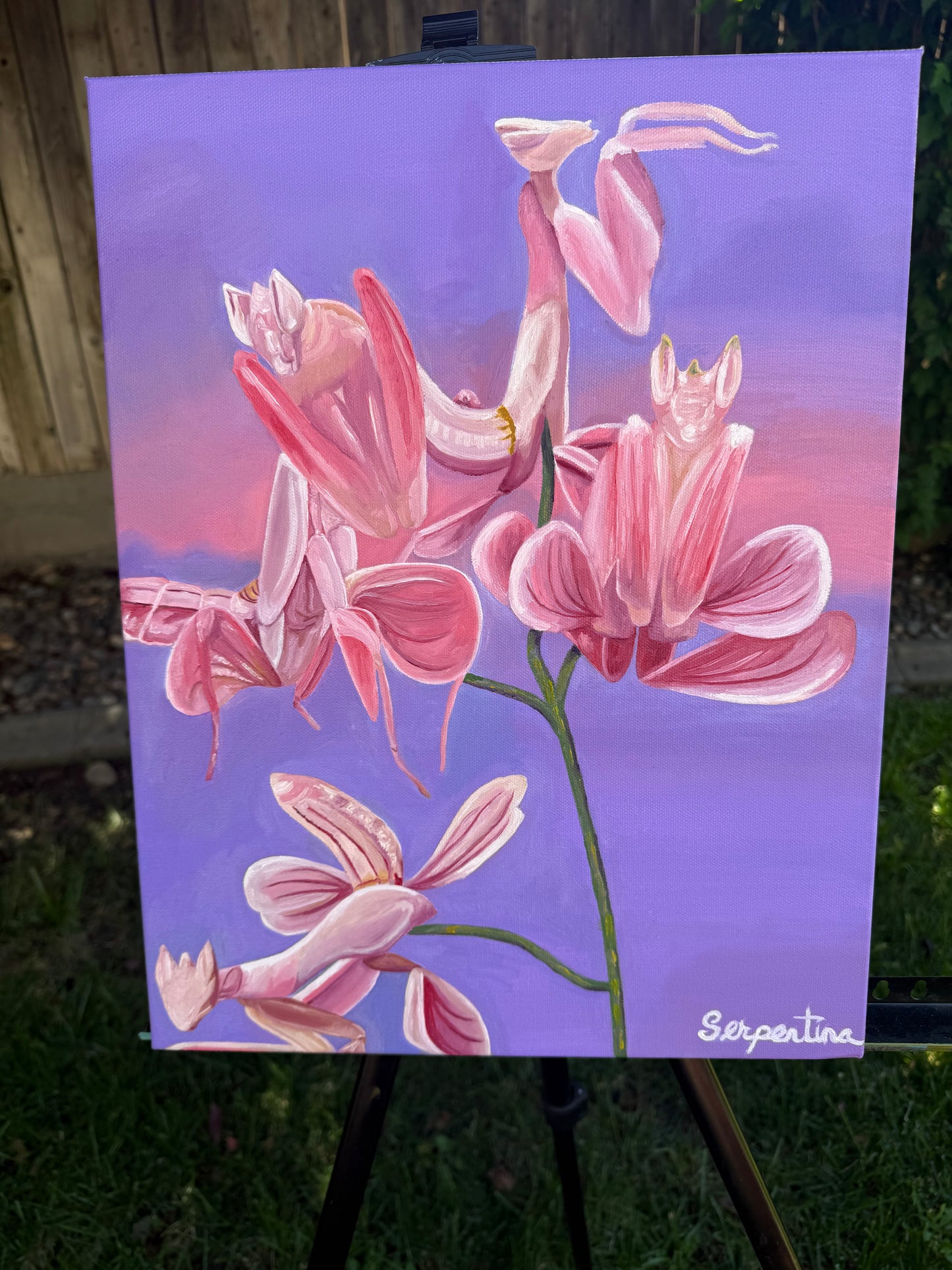 Deceiving Petals 14x18in Oil Painting