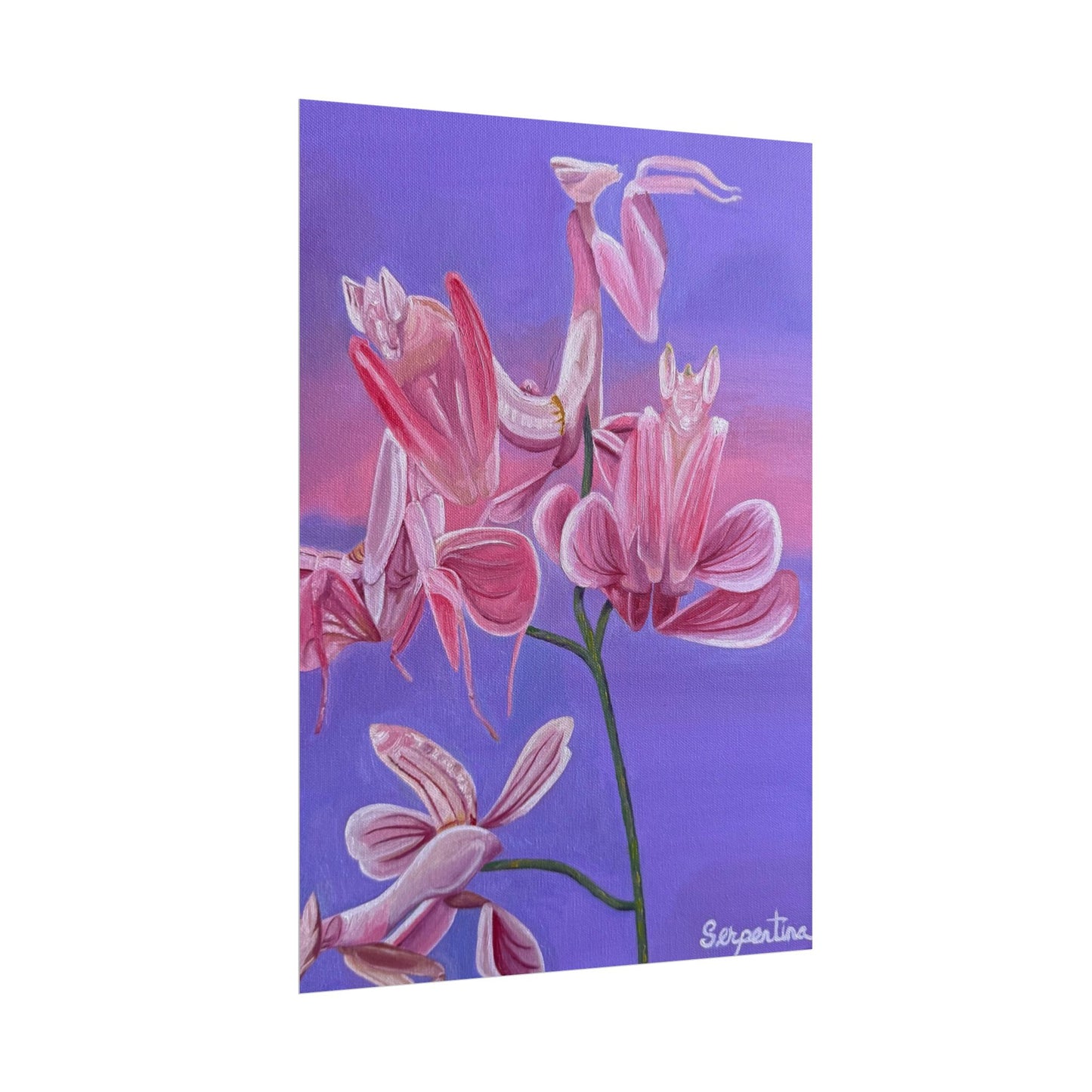 Deceiving Petals - Print