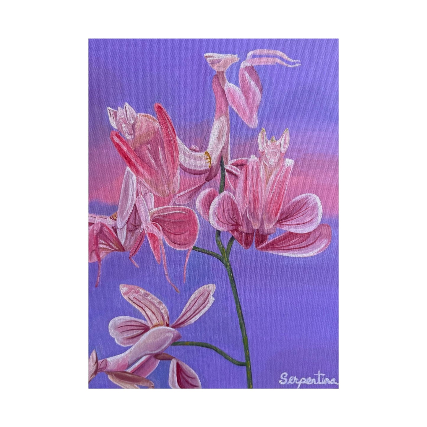 Deceiving Petals - Print