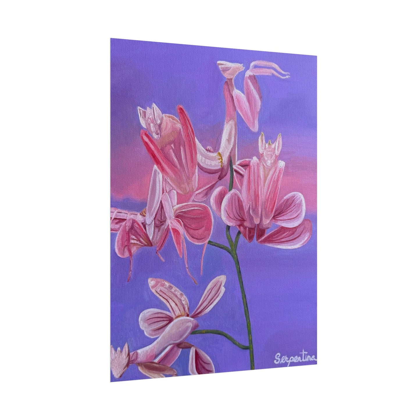 Deceiving Petals - Print