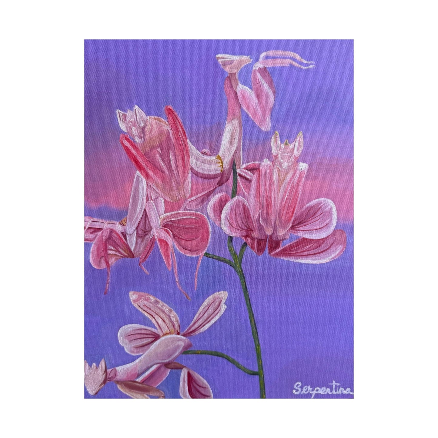 Deceiving Petals - Print