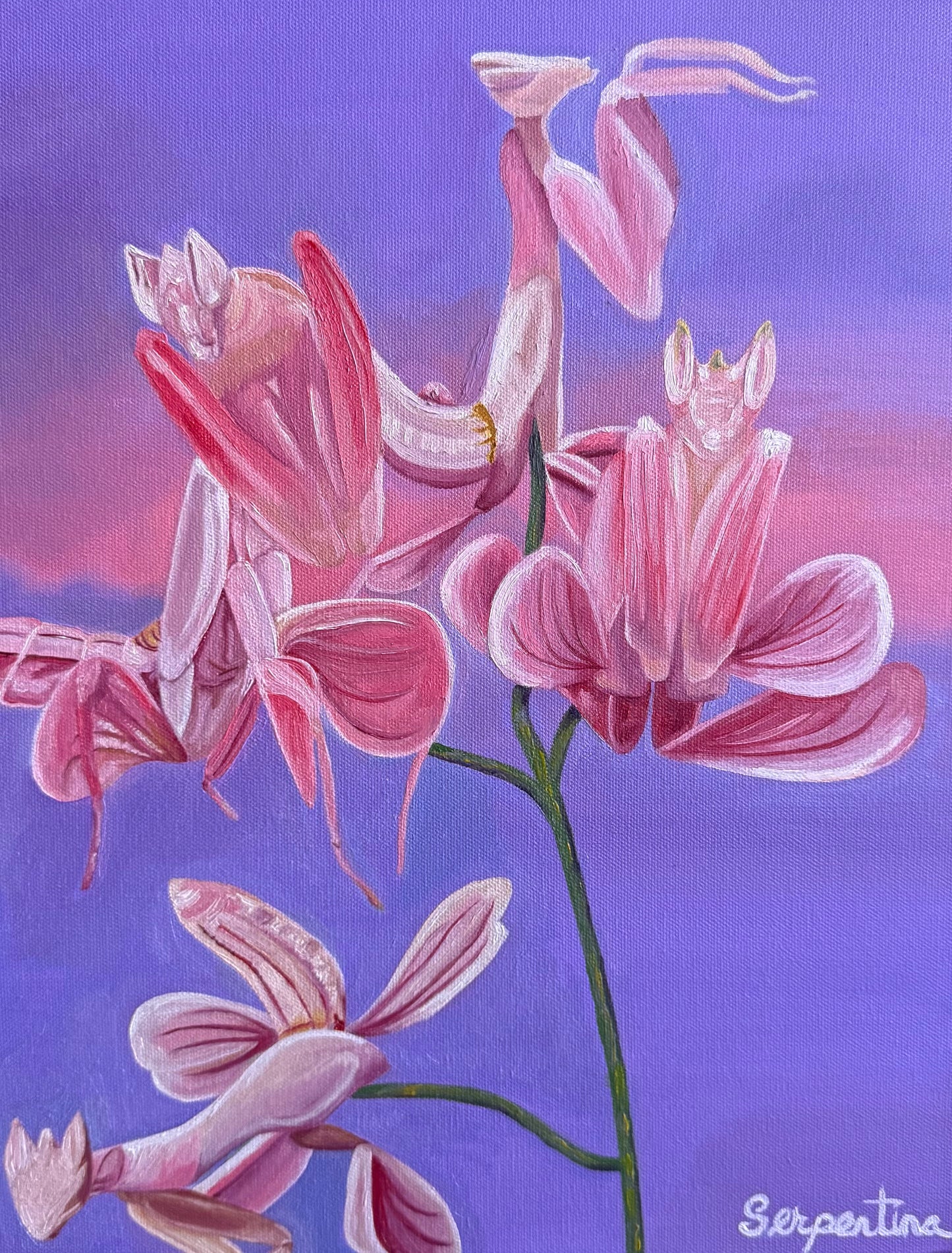 Deceiving Petals Print