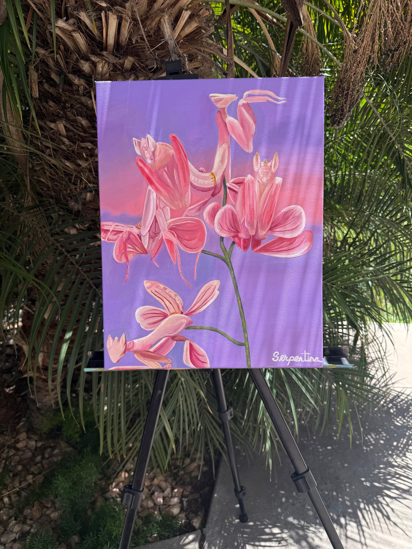 Deceiving Petals 14x18in Oil Painting