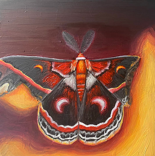 Like a Moth to a Flame - 5x5in Original Oil Painting